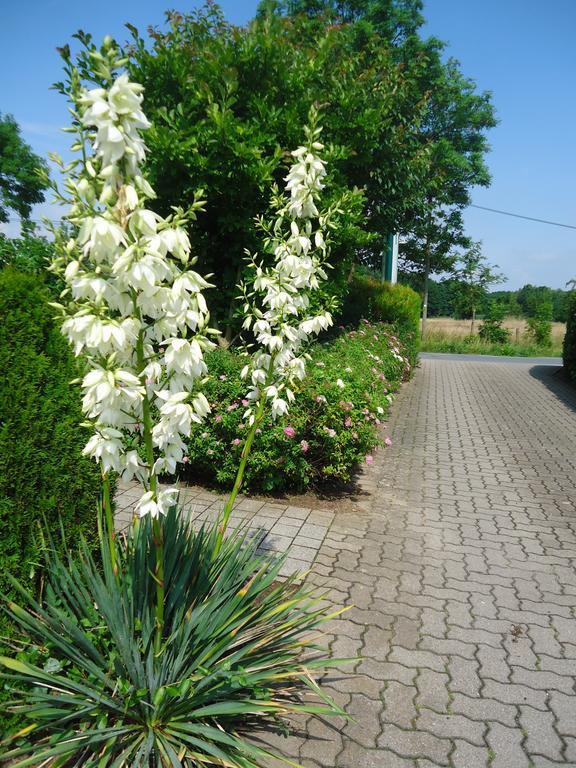 Das Fritz Hotel Schwerin Schoene Lage Im Gruenen Mit Regionaler Kueche Kostenfreien Parkplaetzen Und E Ladestation Exteriér fotografie